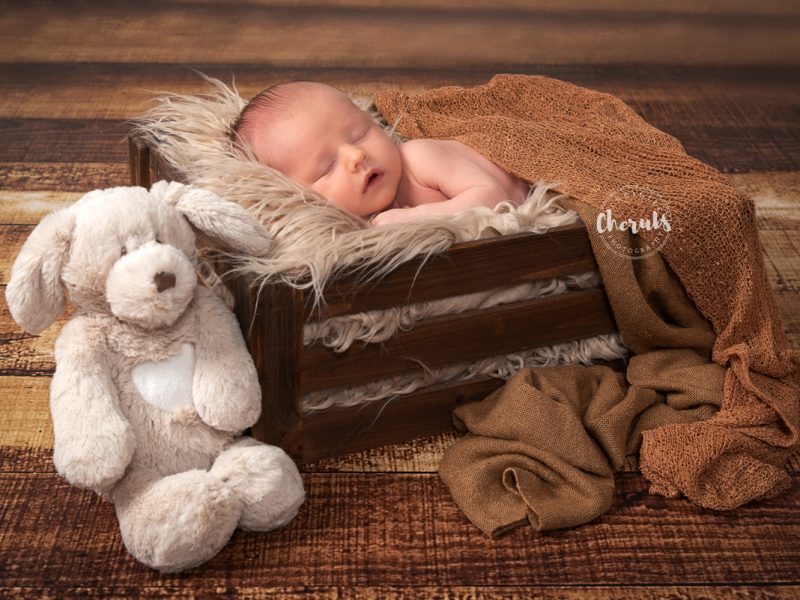 Cheshire Cherubs Photography